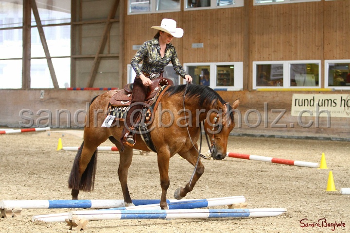 28-ApHC OT_065.jpg